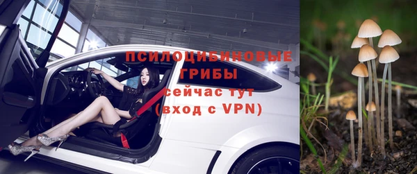 а пвп мука Армянск